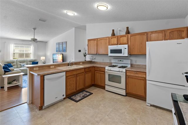 2343 DILLON LANE, The Villages, FL 32162