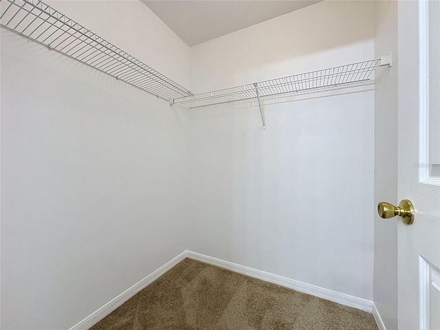 2868 TANZANITE TER, Kissimmee, FL 34758