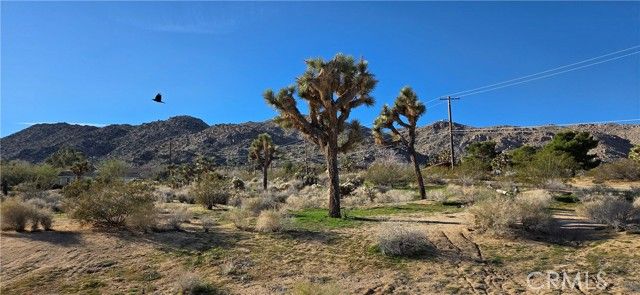 60917 Navajo, Joshua Tree, CA 92252