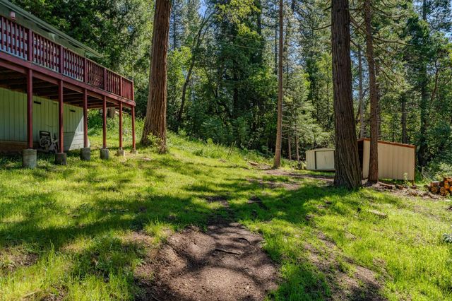 24317 Carson Dr, Pioneer, CA 95666