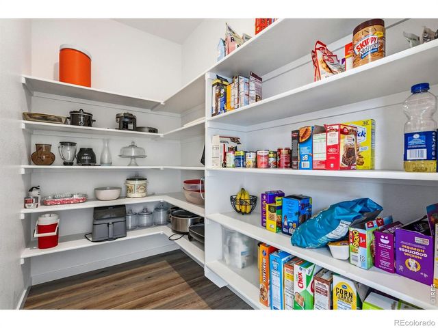 1851 Equinox Drive, Windsor, CO 80550