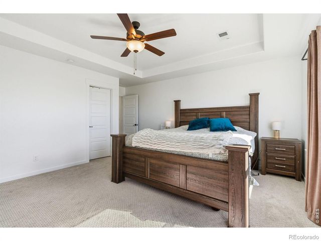 1851 Equinox Drive, Windsor, CO 80550