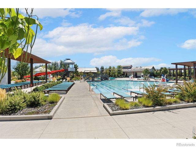 1851 Equinox Drive, Windsor, CO 80550