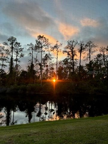 3332 CHAPEL CREEK CIRCLE, Wesley Chapel, FL 33544