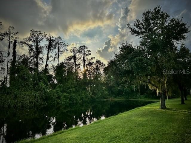 3332 CHAPEL CREEK CIRCLE, Wesley Chapel, FL 33544