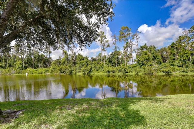 3332 CHAPEL CREEK CIRCLE, Wesley Chapel, FL 33544