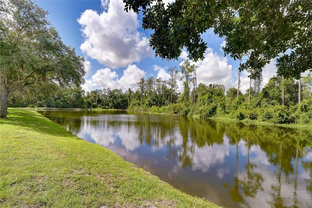 3332 CHAPEL CREEK CIRCLE, Wesley Chapel, FL 33544