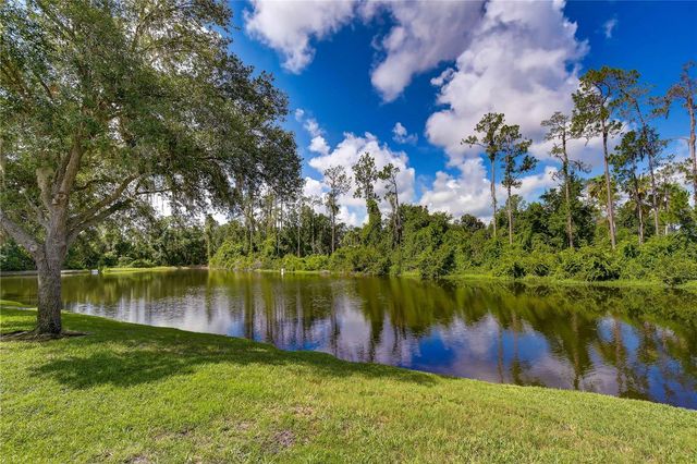3332 CHAPEL CREEK CIRCLE, Wesley Chapel, FL 33544