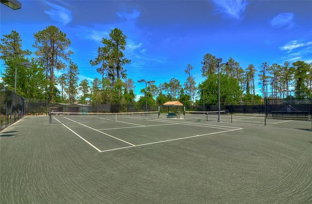 3332 CHAPEL CREEK CIRCLE, Wesley Chapel, FL 33544