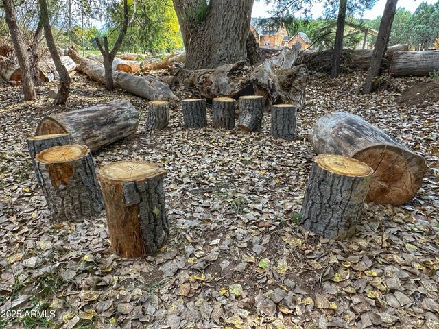 248 N Haigler Drive, Young, AZ 85554