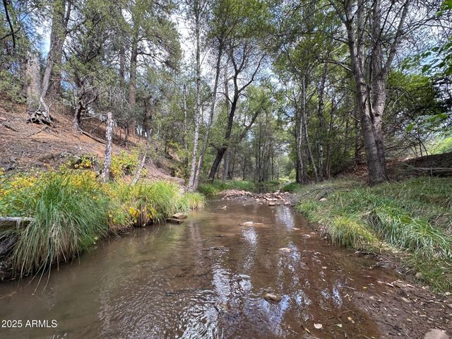 248 N Haigler Drive, Young, AZ 85554