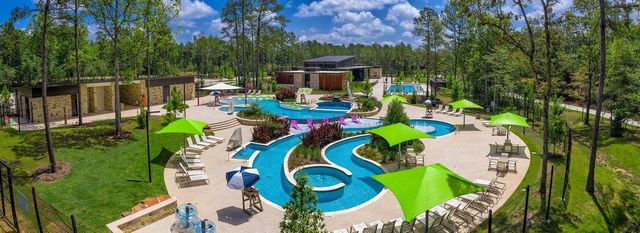 309 Serenata Woods Trail, Willis, TX 77318