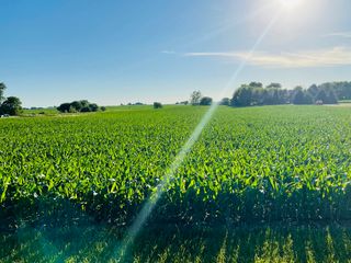 00 E 8th Road, Utica, IL 61373