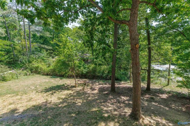 363 Camp Ney A Ti Road, Guntersville, AL 35976