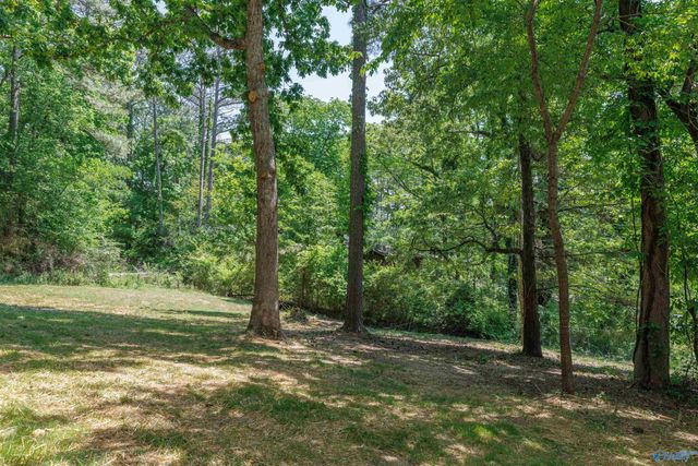 363 Camp Ney A Ti Road, Guntersville, AL 35976