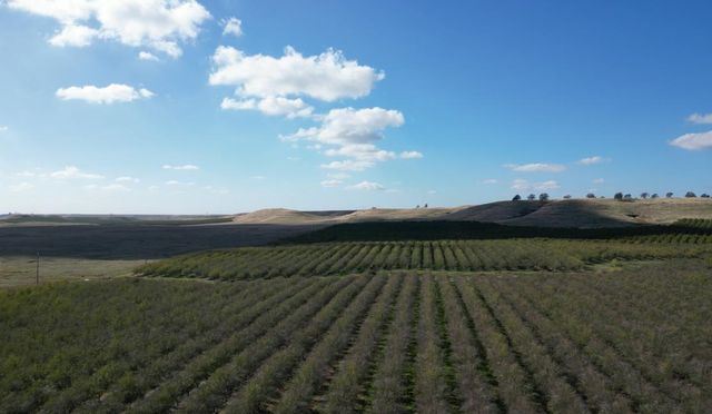 13571 Wimer, Farmington, CA 95326