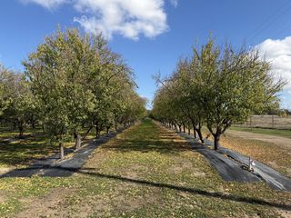 13571 Wimer, Farmington, CA 95326