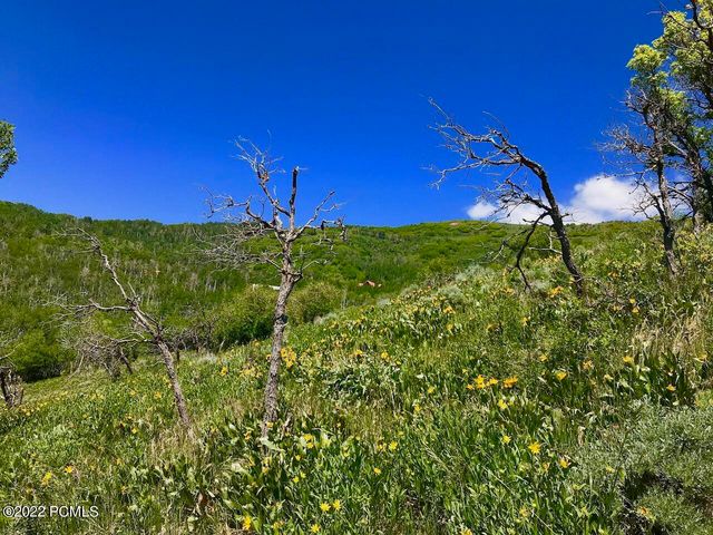 166 Canyon Rim, Oakley, UT 84055