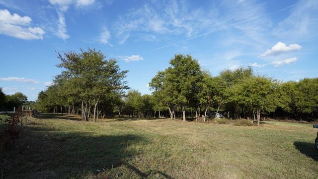 14215 County Road 606 Lot 2, Farmersville, TX 75442