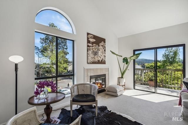 118 Eucalyptus Knoll St, Mill Valley, CA 94941