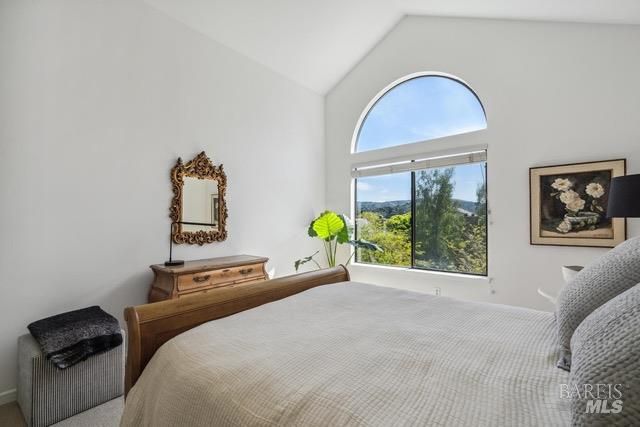 118 Eucalyptus Knoll St, Mill Valley, CA 94941