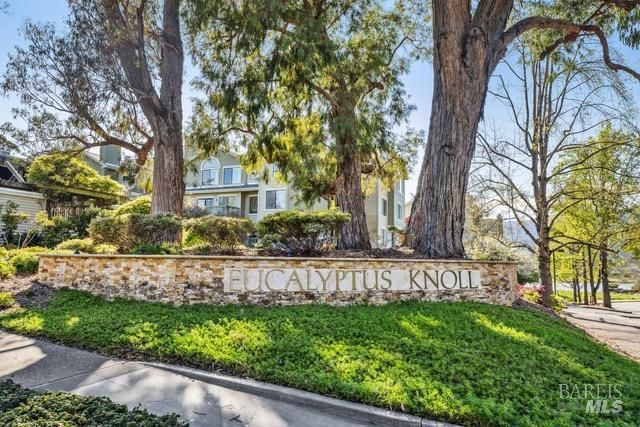 118 Eucalyptus Knoll St, Mill Valley, CA 94941
