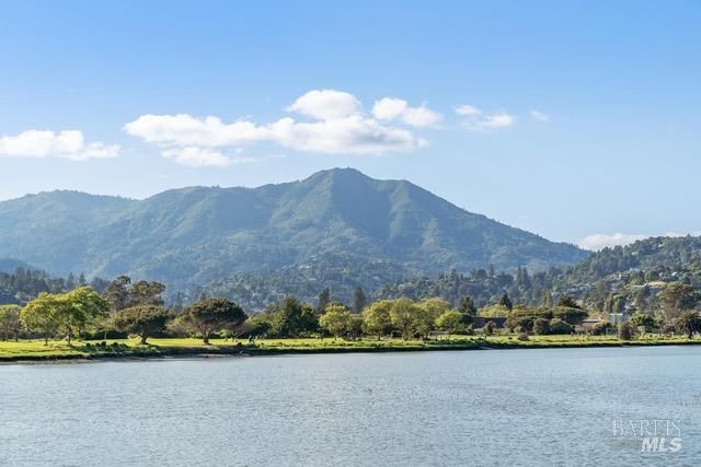 118 Eucalyptus Knoll St, Mill Valley, CA 94941