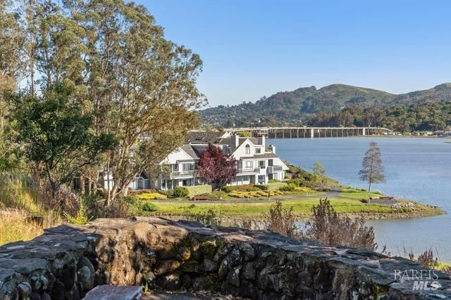 118 Eucalyptus Knoll St, Mill Valley, CA 94941