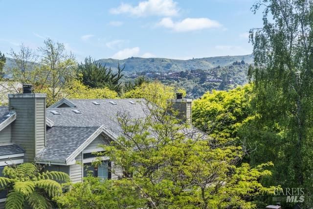 118 Eucalyptus Knoll St, Mill Valley, CA 94941