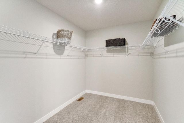 23125 Ashbury Drive, Rogers, MN 55374