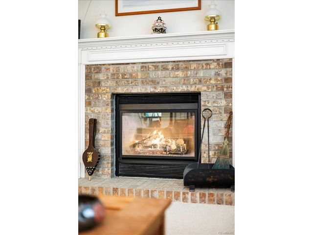 1011 Laurenwood Ln, Highlands Ranch, CO 80129