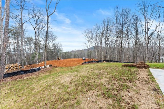 97 Hawks Ridge Ct, Cleveland, GA 30528