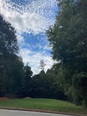 3348 Knob Oaks Drive, Huntsville, TX 77340