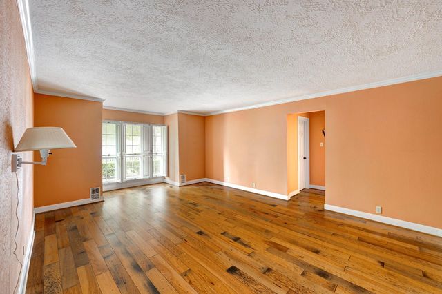 13106 Lookout Mountain Court, Houston, TX 77069