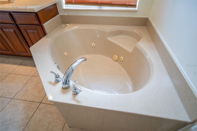 10009 VALLEY ROSE COURT, Orlando, FL 32825