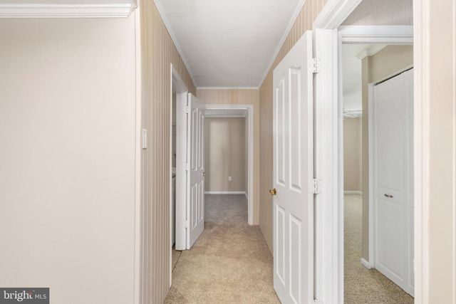 441 DEERWOOD DR, Fredericksburg, VA 22401