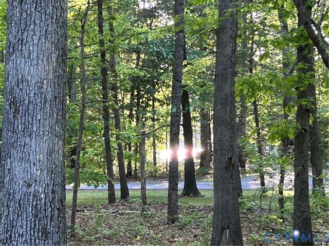 3172 Three Bridge Rd, Powhatan, VA 23139