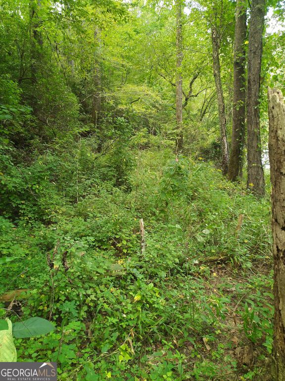 0 Marie LOT 1800, Talking Rock, GA 30175