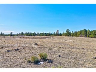 1780 Marie Elena Way, Franktown, CO 80116