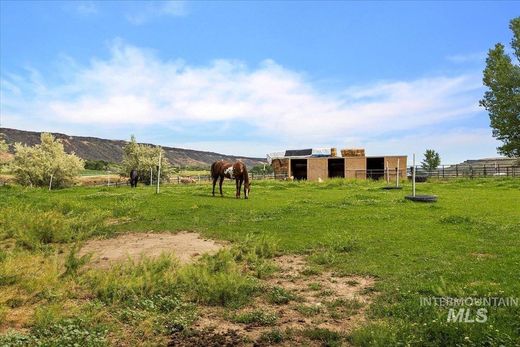 6252 King Hill Canal Road, Bliss, ID 83314 photo 30