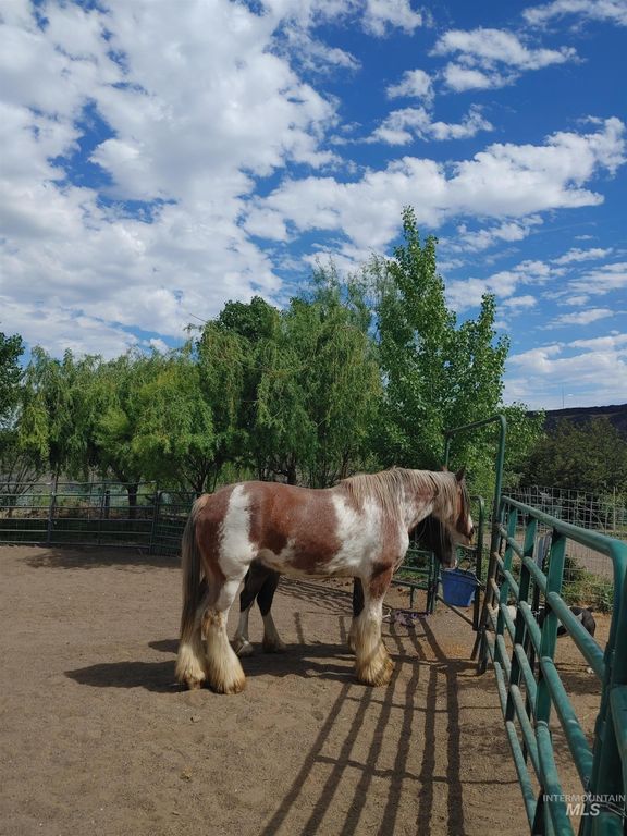 6252 King Hill Canal Road, Bliss, ID 83314 photo 32