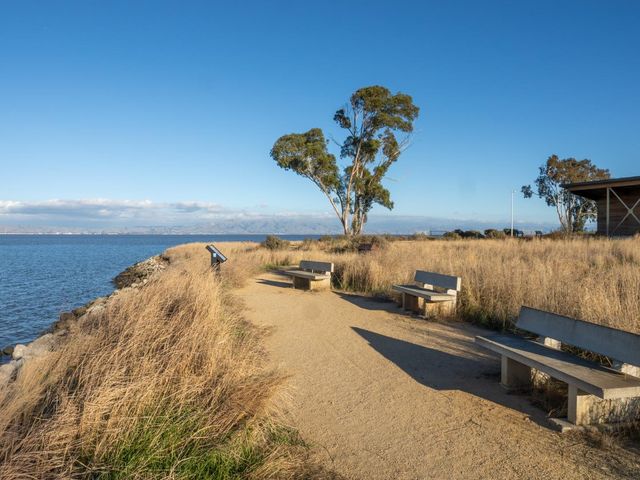 1371 Camellia Drive, East Palo Alto, CA 94303