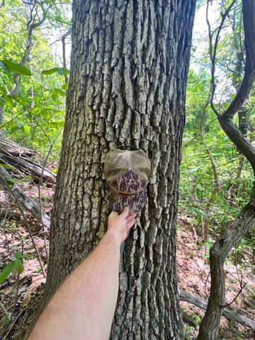 0 Cedar Street, New Boston, OH 45662