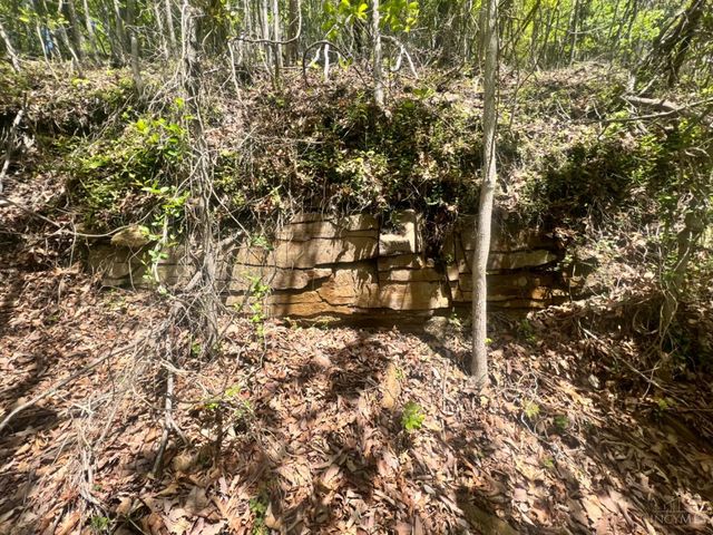 0 Cedar Street, New Boston, OH 45662