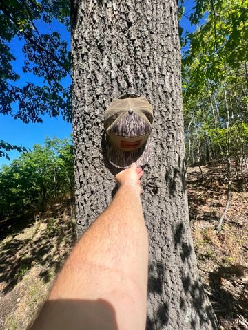 0 Cedar Street, New Boston, OH 45662