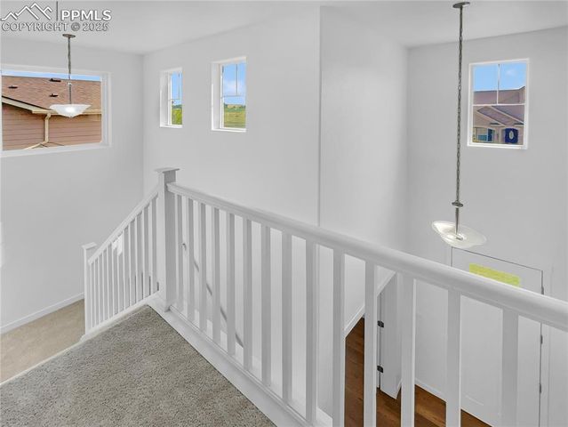 7030 Dutch Loop, Colorado Springs, CO 80925