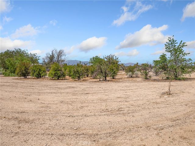 31709 213th Street E, Llano, CA 93544