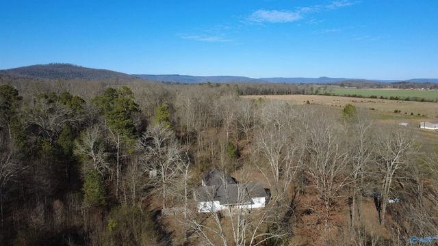 425 College Avenue, New Hope, AL 35760