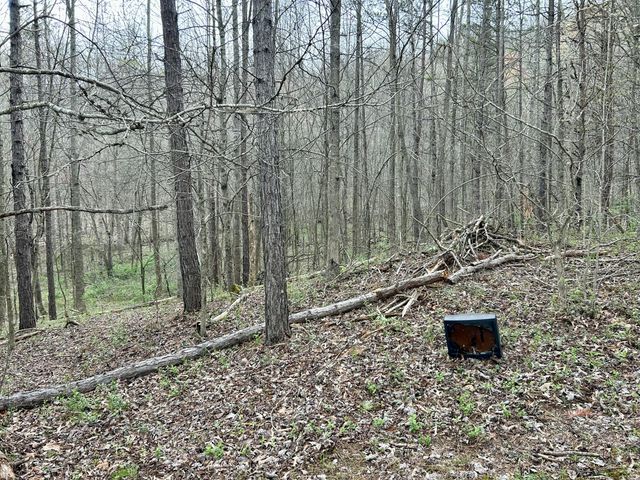 1747 Indian Creek-Gray Road, Corbin, KY 40701