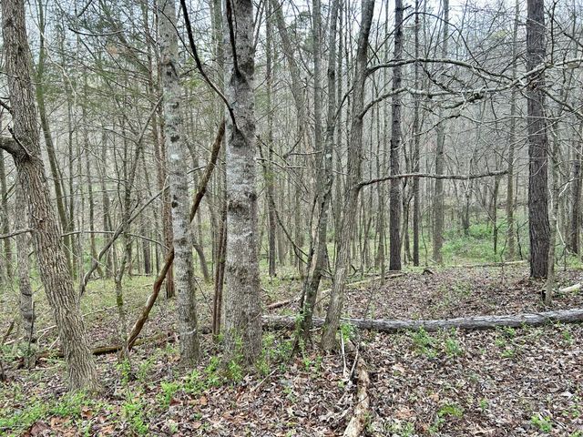 1747 Indian Creek-Gray Road, Corbin, KY 40701